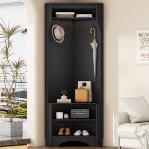 Black Minimalist Corner Decorative Hall Tree