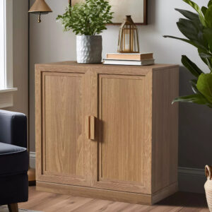 Modern Minimalist 2-Door Wooden Cabinet
