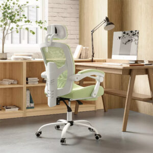 Ergonomic Office Chair with Retractable Footrest